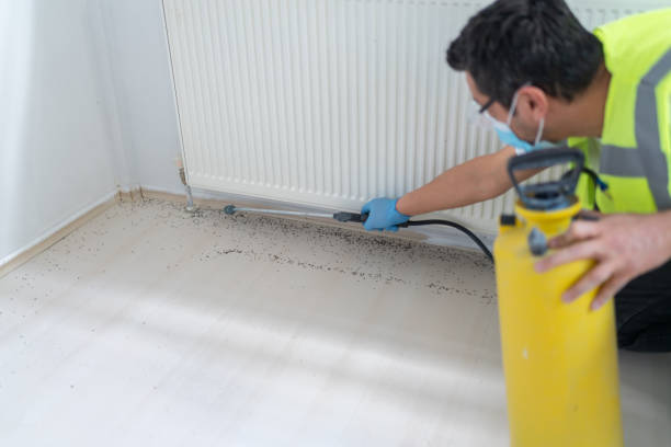 Best Pest Prevention Services  in Killian, LA